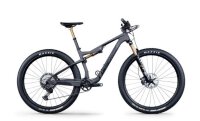 Lapierre XRM 10.9 Herren - RH: S - raw carbon - matt
