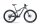 Lapierre XRM 10.9 Herren - RH: S - raw carbon - matt