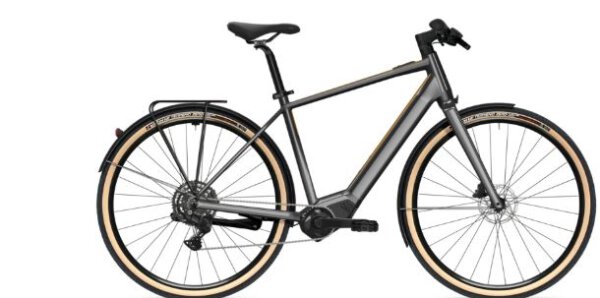 Flyer G1 Upstreet SL 3.10 Gents - RH:L - Frosty Sage Gloss