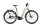 Flyer Gotour 5.23 CX - RH: M - Frosty Sage Gloss