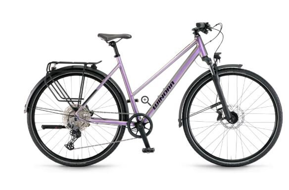 Winora Domingo X12 Pro-Mid - RH: 48 - chameleon