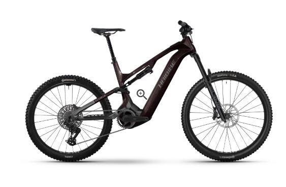 Haibike Allmtn CF 9 High - RH: 43 - black/platinum glänzend