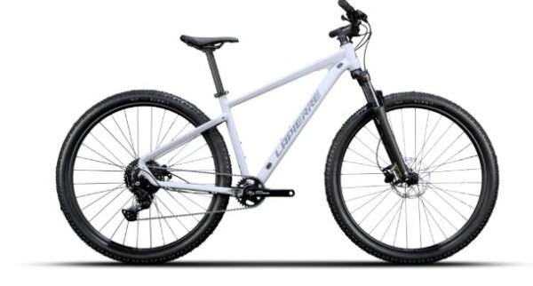 Lapierre PRORACE 2.9 - RH: L/48 - circular grey - matt&glossy
