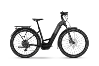 Haibike Trekking 6.5 Low - RH: 38/S - stardust/titan...