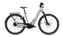 Flyer  G1 Upstreet 7.43 - RH: XL -  frosty sage gloss